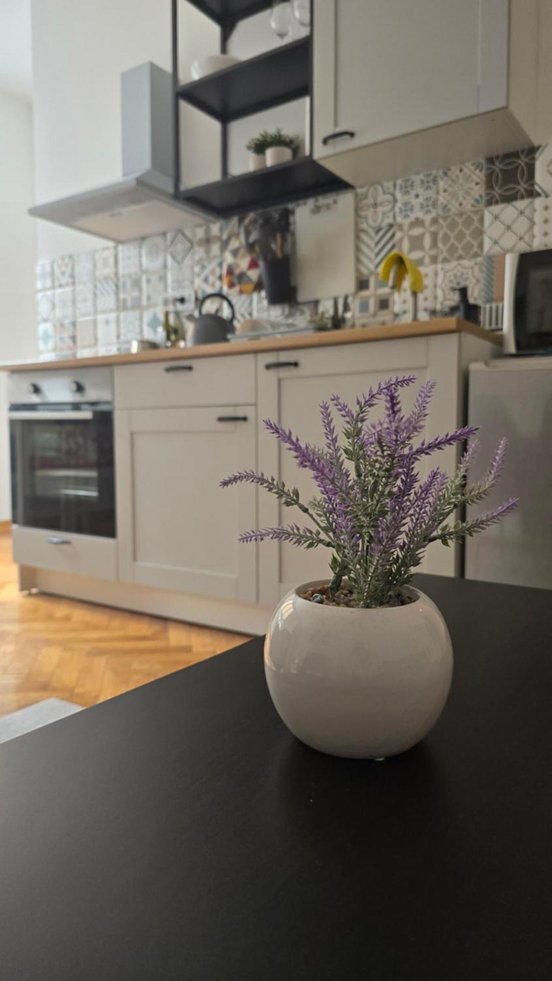 Apartment Major Belgrade Luaran gambar